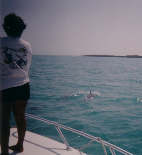 fish200151.jpg