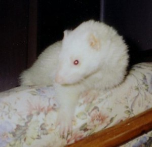 barryposing.jpg