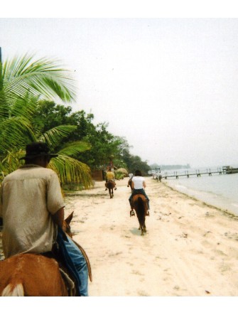 beachride.jpg