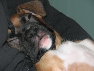 bensleeping.jpg