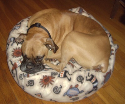 cashinlittlebed.jpg