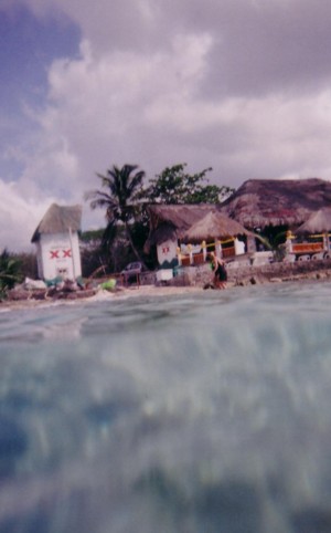 fish20008.jpg