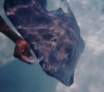fish200122.jpg