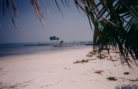 fish200141.jpg
