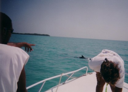 fish20015.jpg