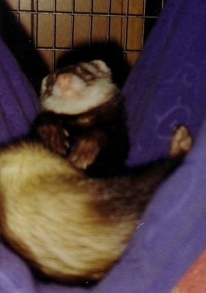 sleepylady.jpg