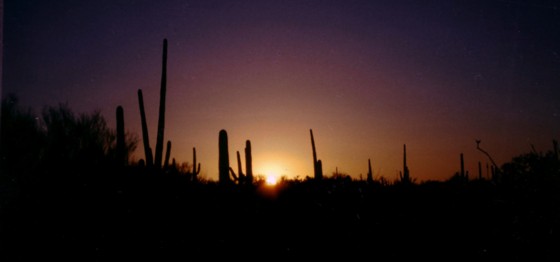 sunset.jpg